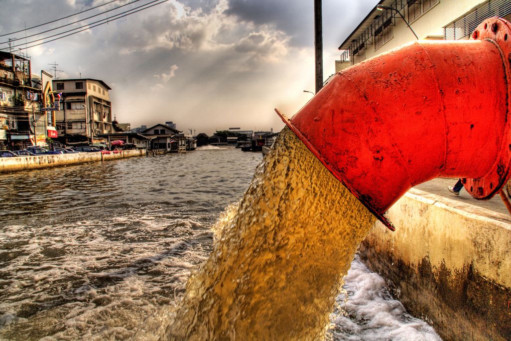 Sewage-water-reveals