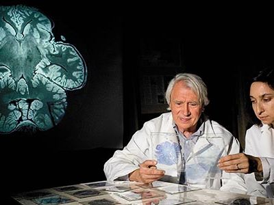 John Allman and Atiya Hakeem examing elephant brain specimens