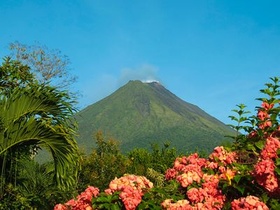 Costa Rica's Guanacaste region is among the country's many beautiful ecological zones—and the waste from local juice company is helping keep it that way.