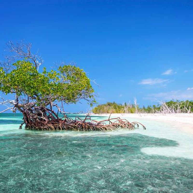 Carpa Playa Beach Shelter National Geographic – Getway