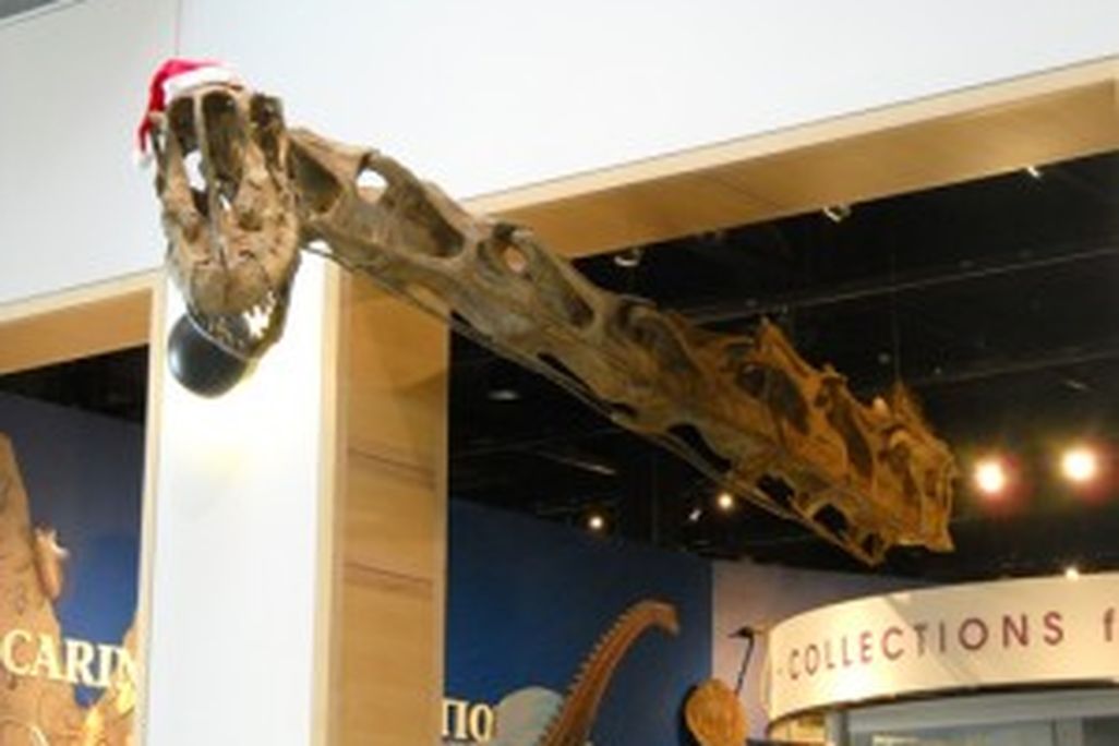 201105200832012009-12-19-zoo-and-museums-203-300x224.jpg
