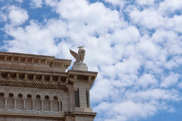 Perfect Timing - A Goeland Resting on a Lion Statue thumbnail