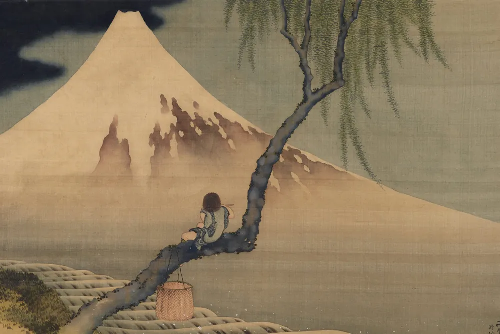 Boy Viewing Mount Fuji Opener desktop