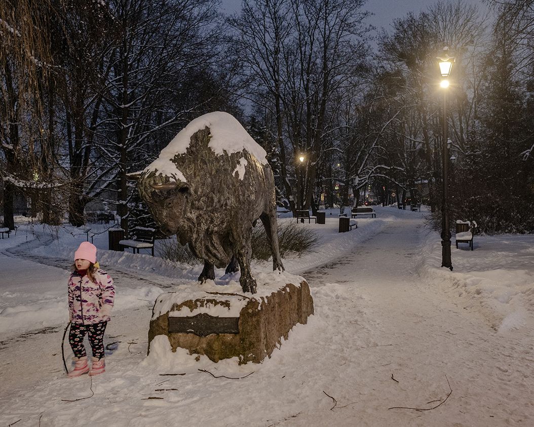 A life-size bronze sculpture of a bison