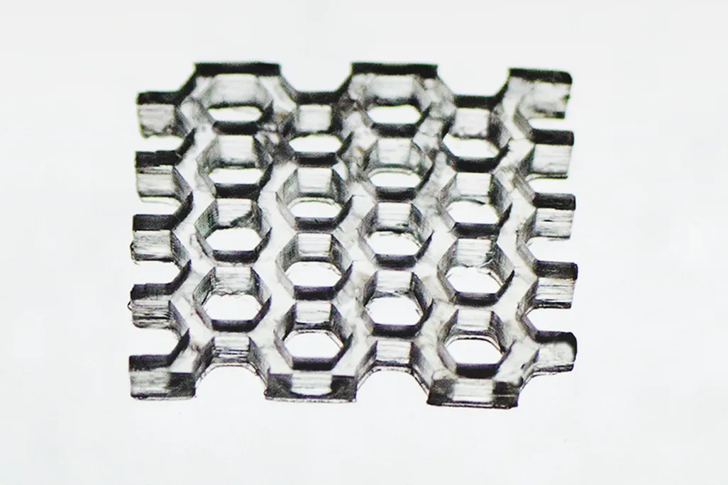 3Dprintedhoneycomp2.jpg