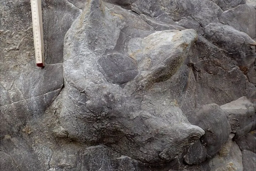 iguanodon.jpg