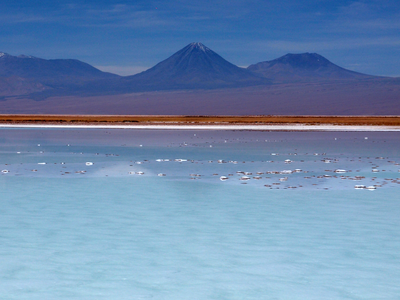 Laguna La Brava in the Atacama desert of Chile.