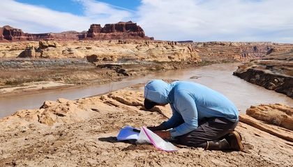 Citizen Scientists Document a Recovering Colorado River