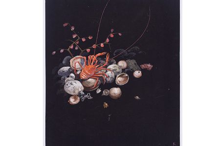 Submerged Beach, 1400 Fathoms, Else Bostelmann, Bermuda, 1931. 
Watercolor on paper, 11 1/2   x 14 1/2  inches.