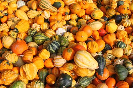 An assortment of squash