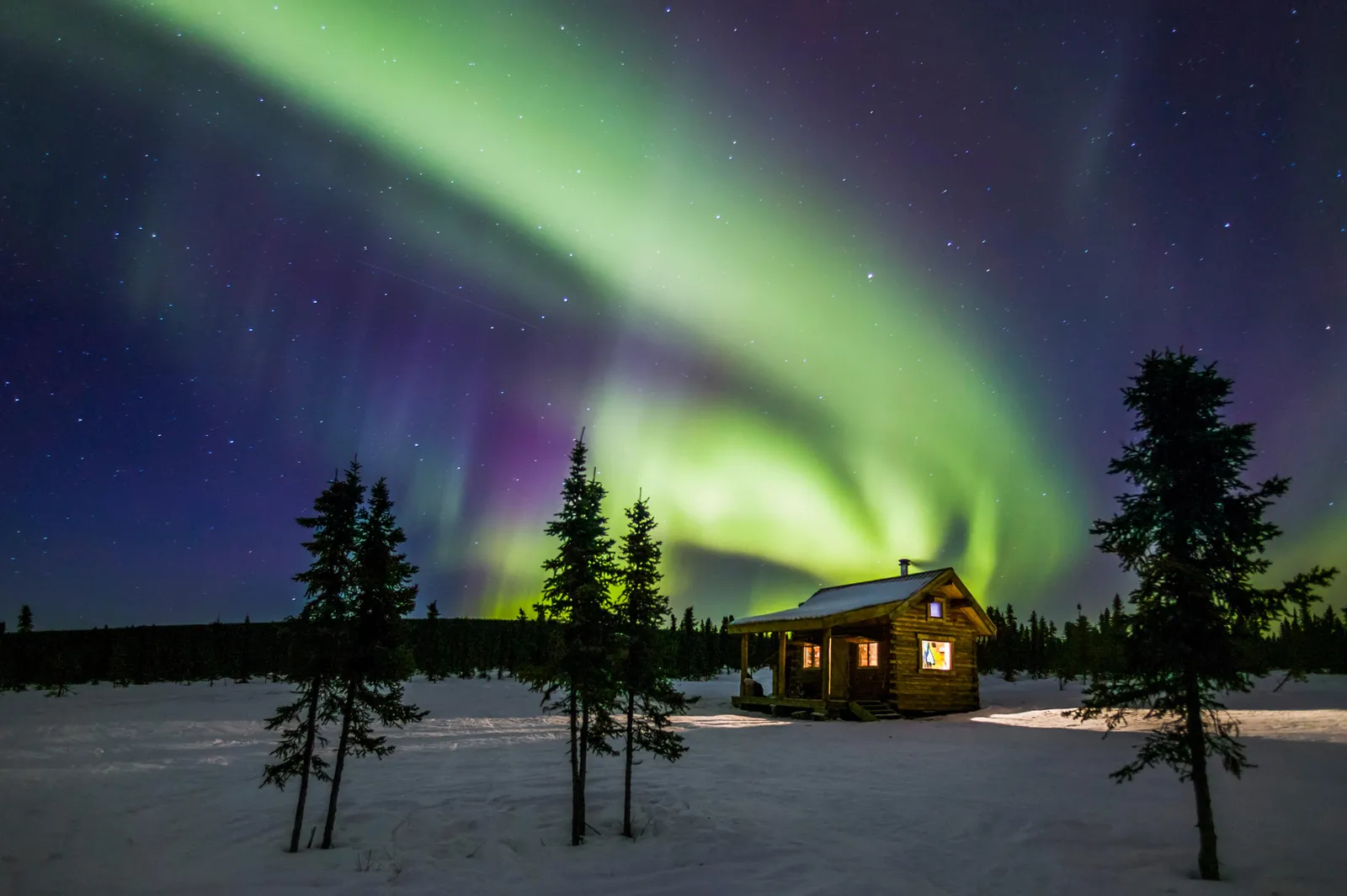 Best Place to See Polar Bears and Northern Lights