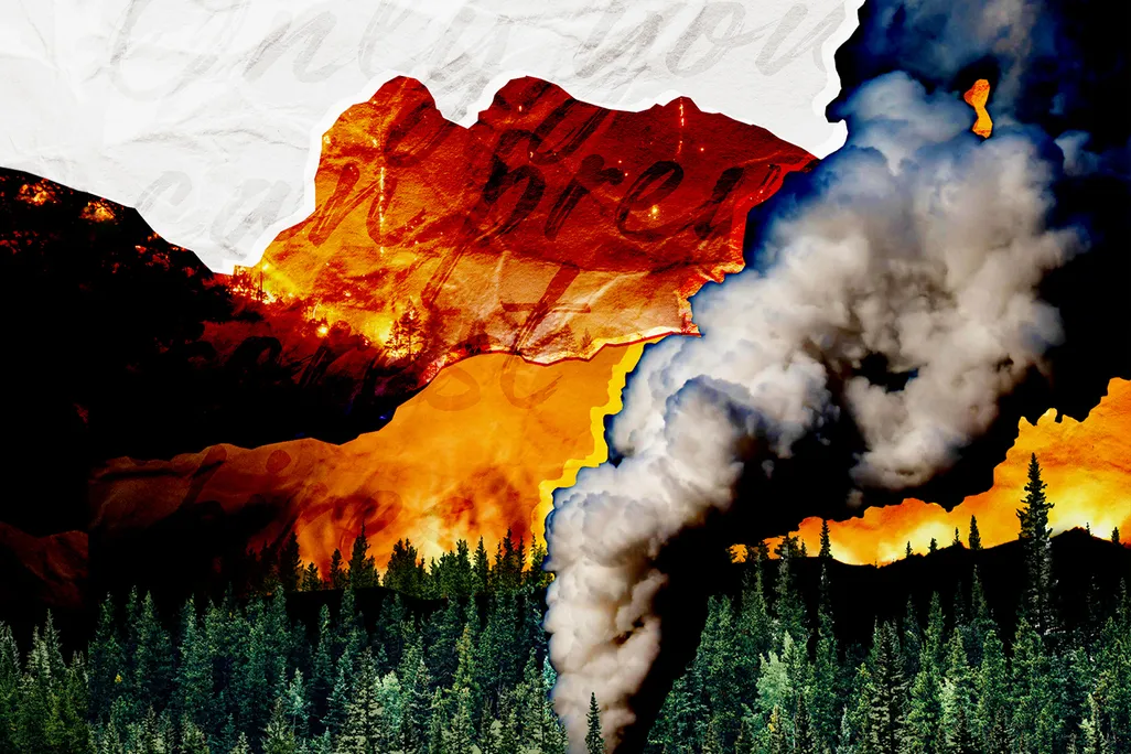 Wildfire illustration