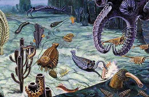Burgess Shale's Weird Wonders | History| Smithsonian Magazine