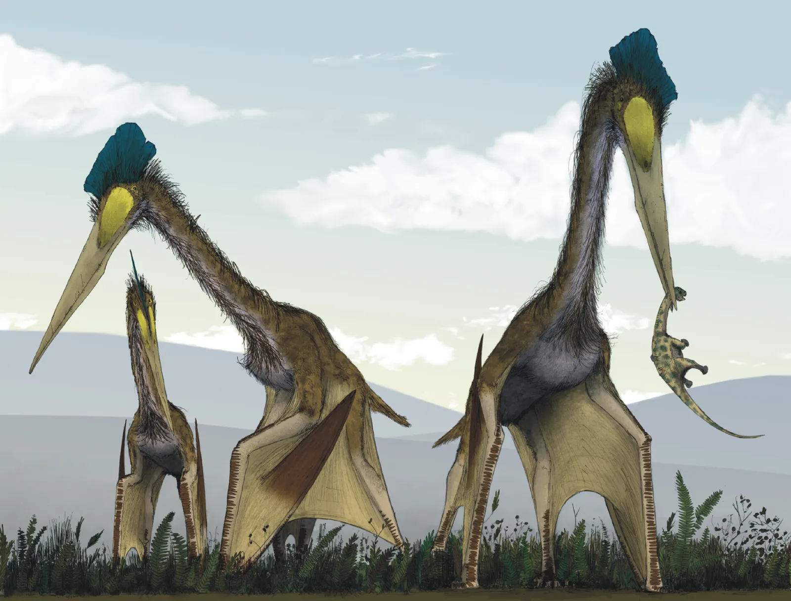 Let's learn about pterosaurs