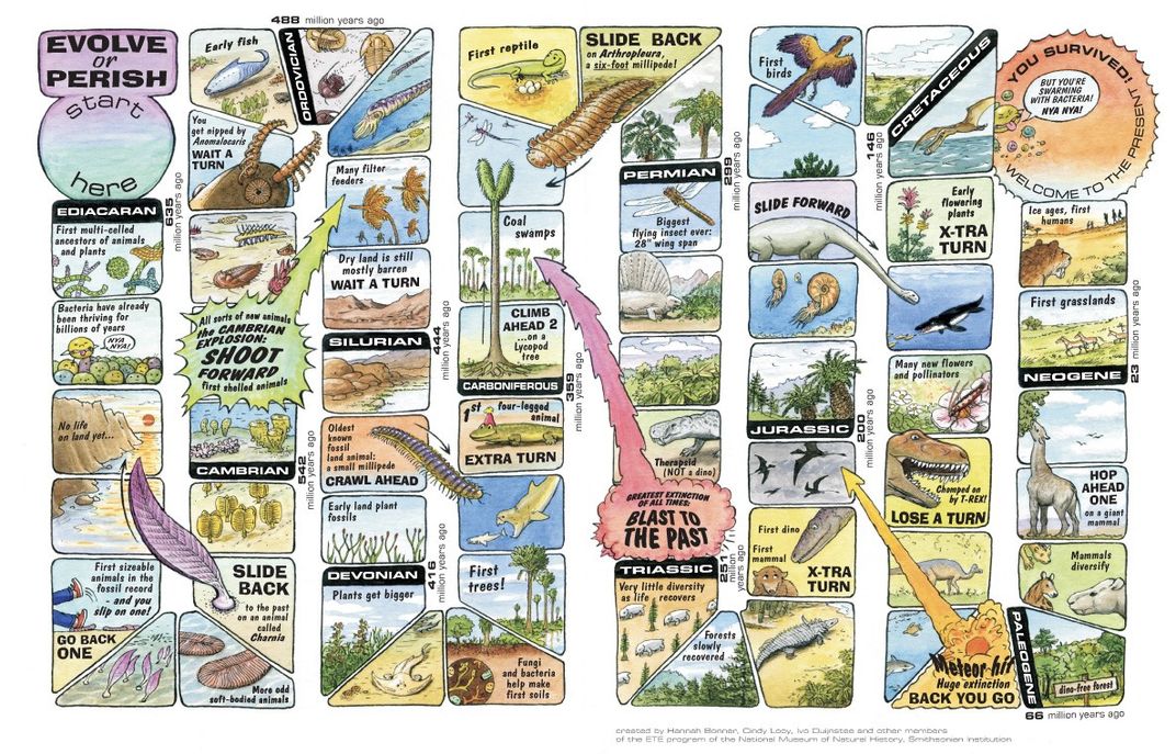 The game board for a game about evolution.