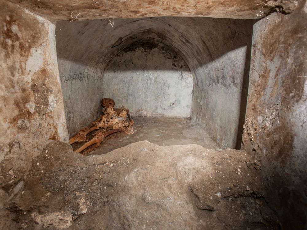 Roman Priest S Exceptionally Well Preserved Remains Found In Pompeii Smart News Smithsonian Magazine