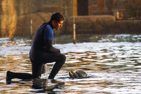 Between Breath and Water thumbnail