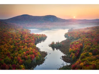 See 24 Beautiful Photos of Fall Foliage in Its Most Vibrant Colors image