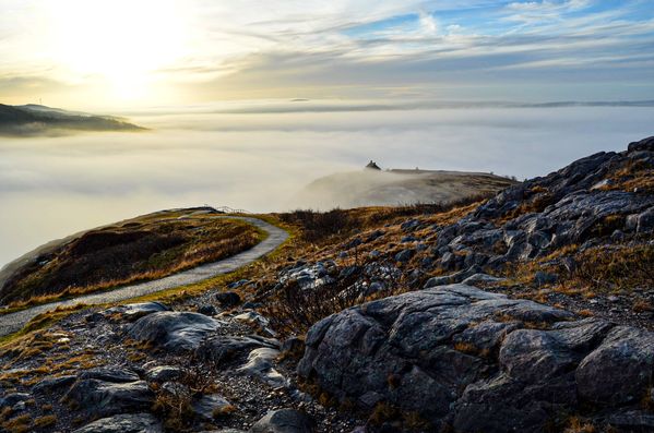 Above the clouds on Signal Hill. thumbnail