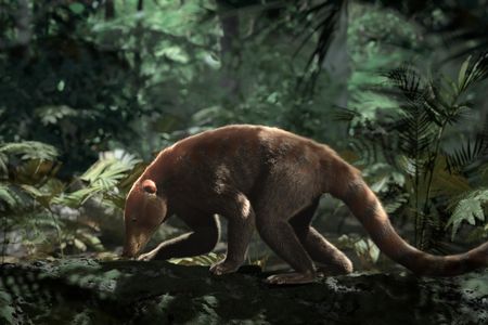 CGI rendering of ancient Loxolophus mammal taken from the PBS NOVA special, Rise of the Mammals. In this recreation, Loxolophus scavenges for food in the palm dominated forests found within the first 300,000 years after the dinosaur extinction.