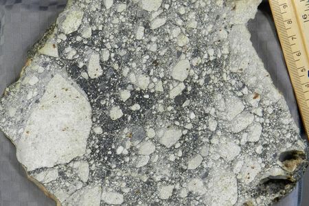 Sawn slab of NWA5000, a meteorite identified as coming from the Moon. Note the large white clasts (click here for the full-size photo) ; these are igneous rocks, similar to others recognized from the lunar highlands. Note the small brown grains of metal (kamacite) in the white rocks, surrounded by dark brown stains (rust). Metal grains found in igneous crustal rocks are virtually unknown in the Apollo samples.