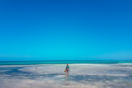 Belize seaweed farming pioneer Lowell 
