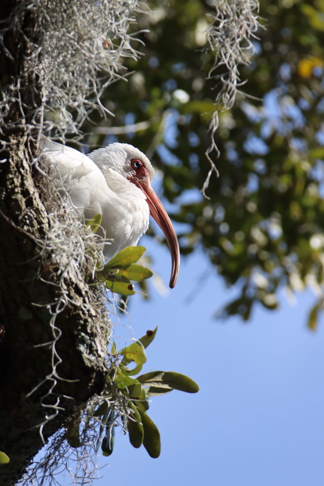 Lofty Perch | Smithsonian Photo Contest | Smithsonian Magazine