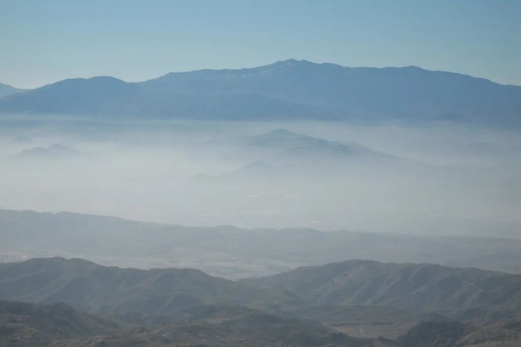 Joshua Tree Haze