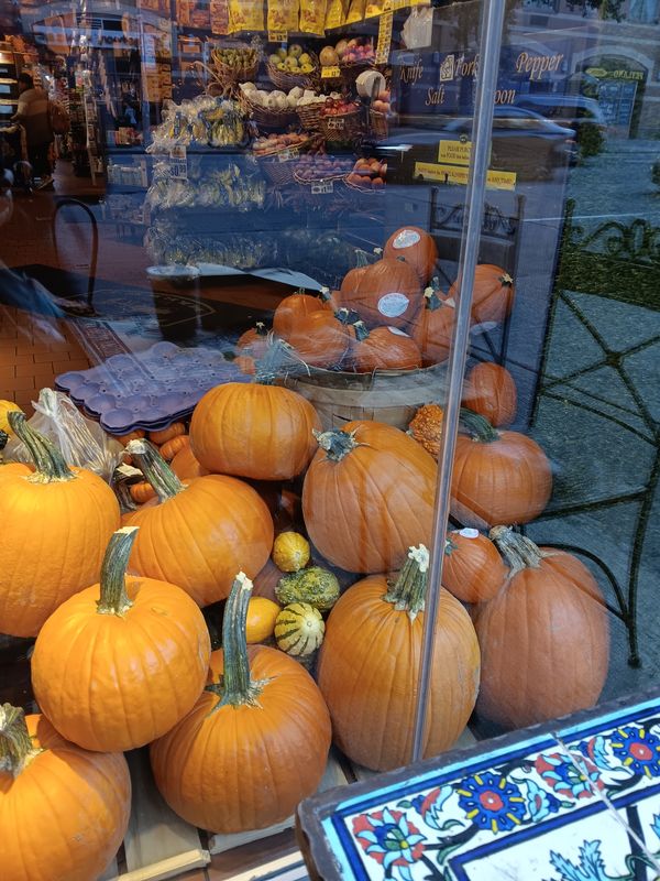 Halloween at local organic grocery store in NYC! thumbnail