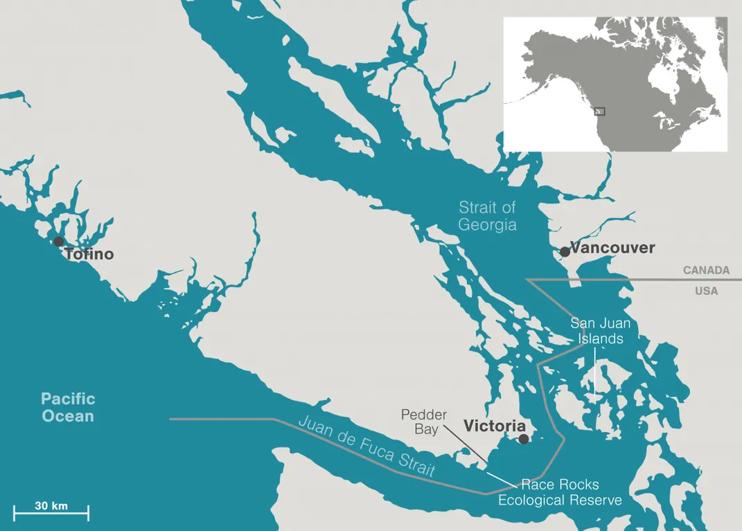 The Salish Sea