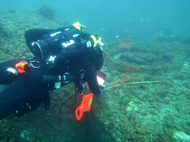 S.S. Cotopaxi