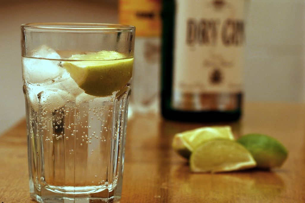 Gin_and_Tonic_with_ingredients.jpg