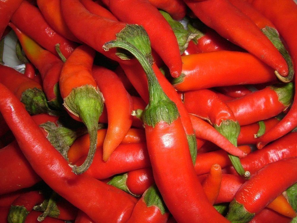 hot peppers.jpg