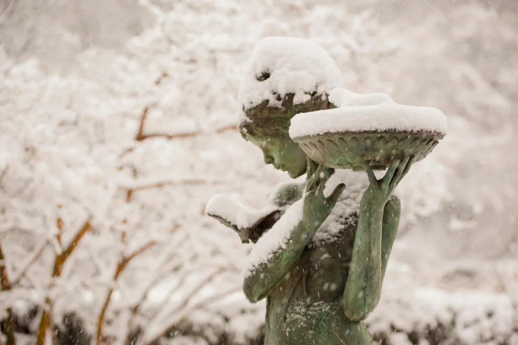Central Park Statue
