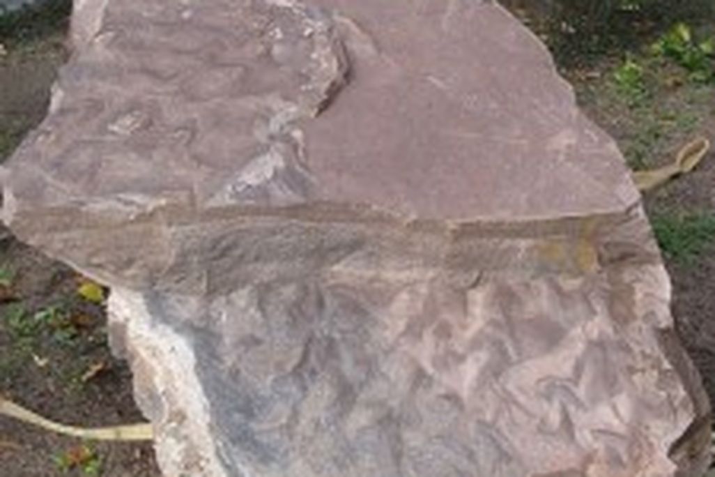 20110520083244dinosaur-track-225x300.jpg