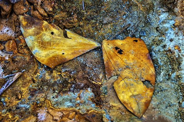 Intimate moment-2 thumbnail