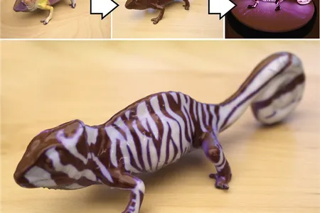 The process of coloring the test objects took between 15 and 40 minutes.