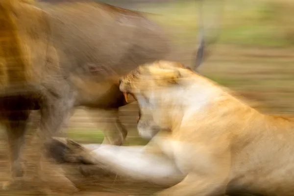 After the Tension Breaks thumbnail