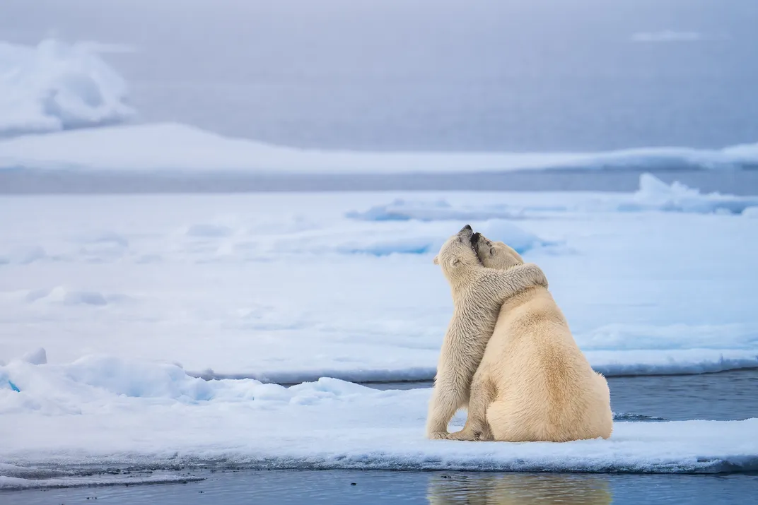 Bear Hug