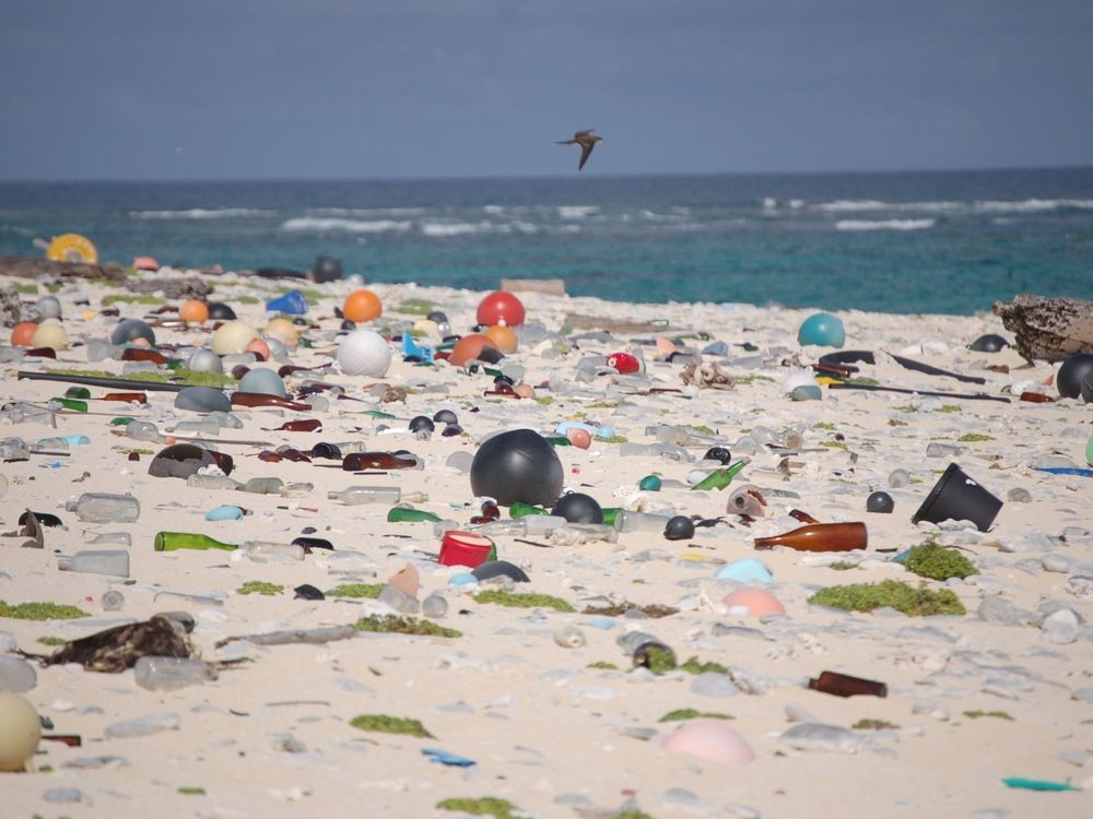 Beach_strewn_with_plastic_debris_(8080500982).jpg