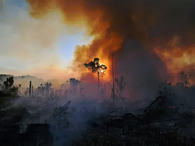 Smoke rises from a fire in the Amazon rainforest, south of Novo Progresso in the Para state, Brazil.