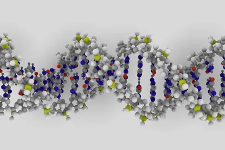 A DNA molecule