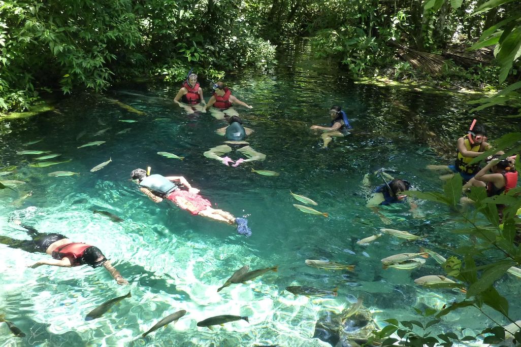 Ecotourism