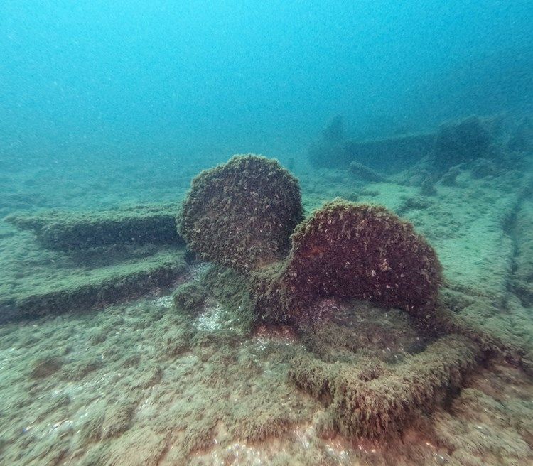 Equipment covered in fuzzy algae under water