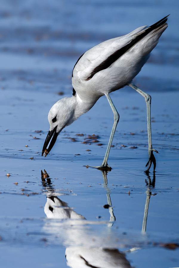 Reflection of Life thumbnail