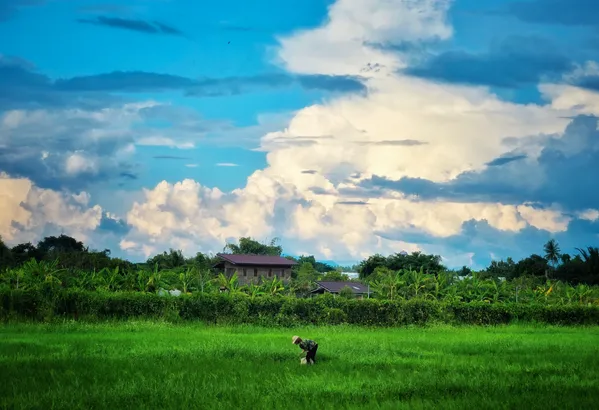 Pastoral Song thumbnail