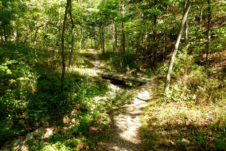 Dry Creek Bridge in Dry Creek Wilderness, Arkansas