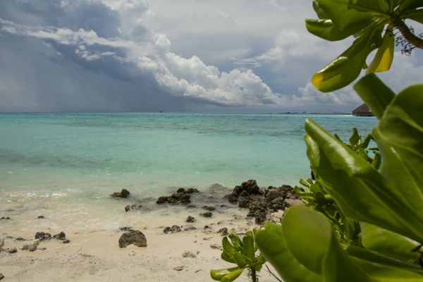 Maldives beauty seascapes thumbnail