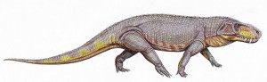 20110520083223Prestosuchus-restoration-300x92.jpg