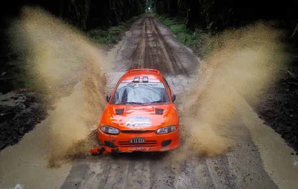 butterfly wings in mud splashes thumbnail